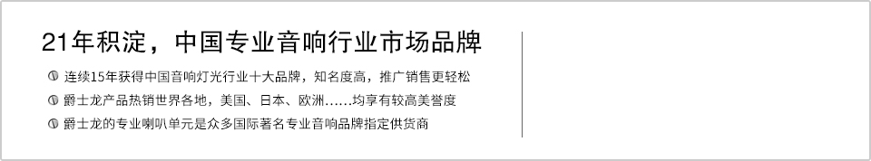 21年積淀，中國專業(yè)音響行業(yè)市場(chǎng)品牌